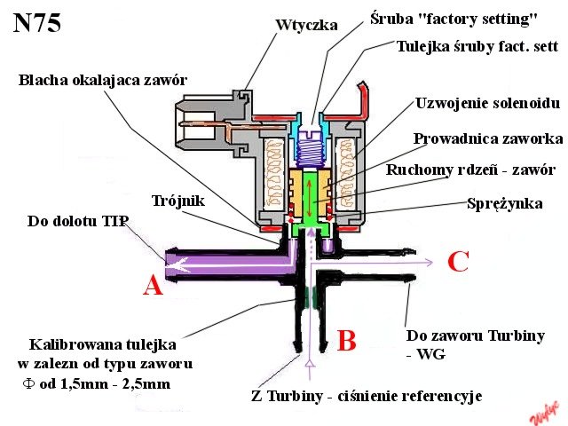 n75.jpg