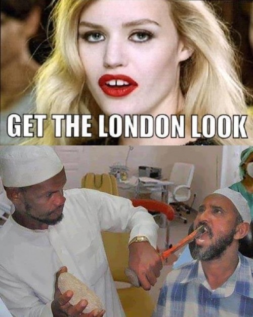 thumbs-picdump781-073.jpg