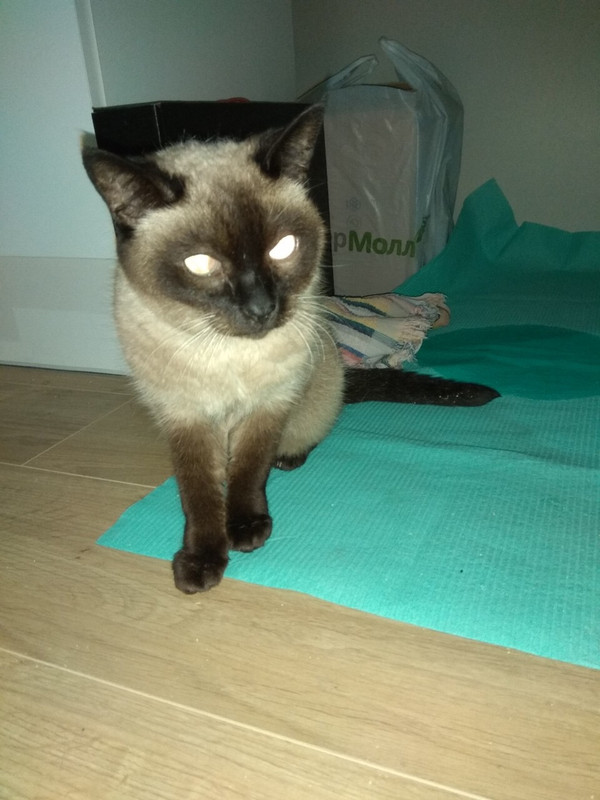 1C45358A-F11C-4AE8-B399-5752B17DC848