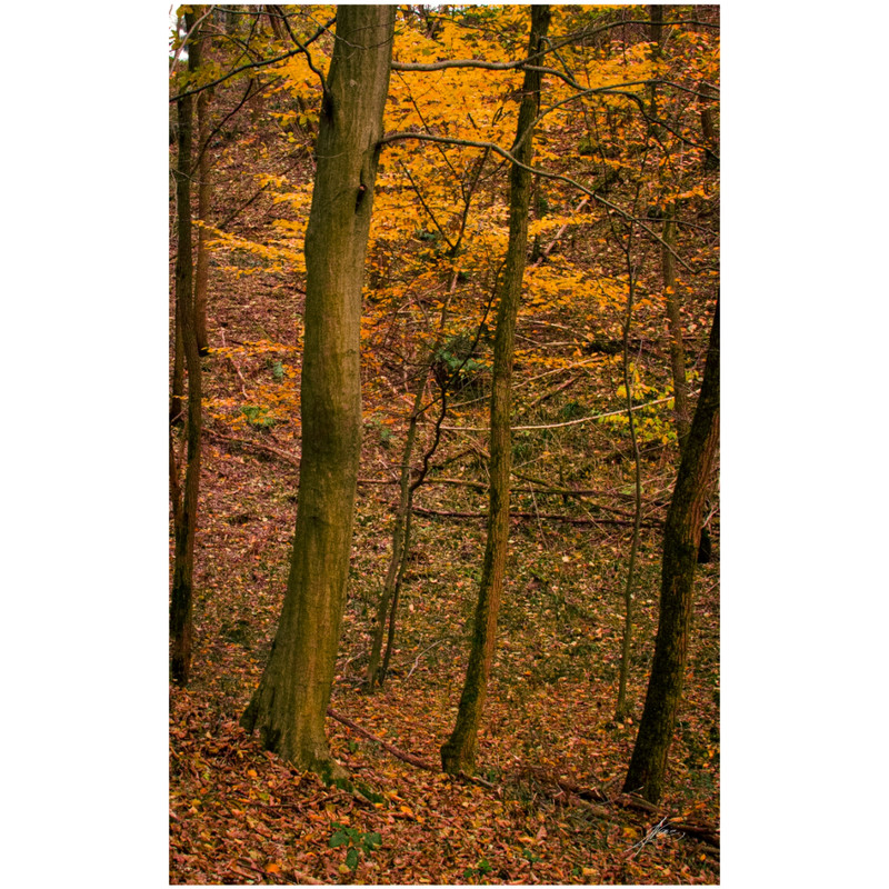 Square Quick 20251122183549487