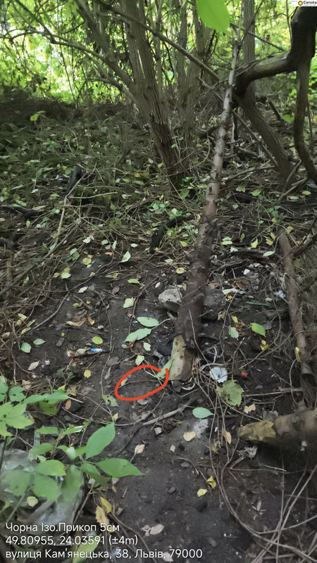 49d742caf45f53d7c502db45f0c63f735e5b