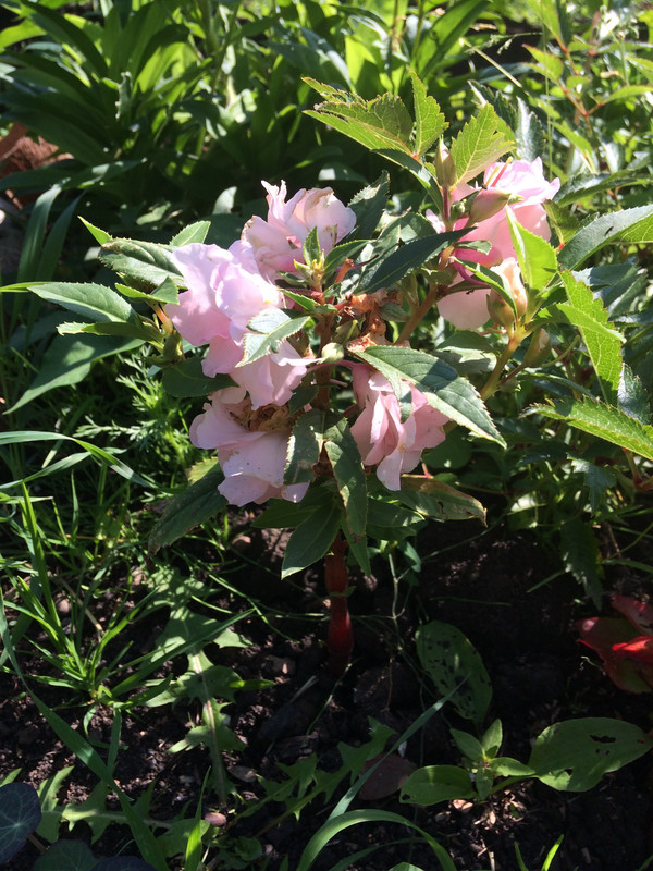 9D49B66C-0C79-4590-BAA8-B901054DB926