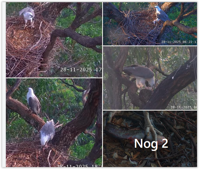 Screen Shot 11 28 25 at 09 45 AM 001