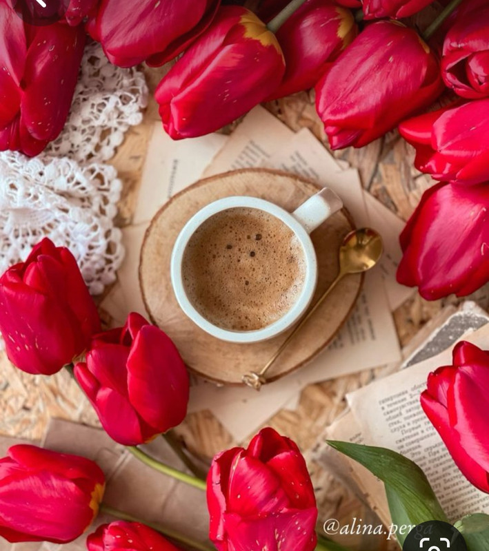 Screenshot_20240425_232445_Pinterest