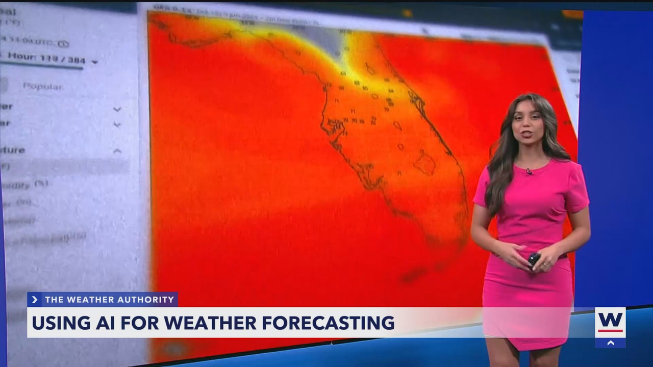 06.22 - 04.00.00 - WINK News at 11  ᴺᵉʷ. Local and regional news..ts_snapshot_28.41.463