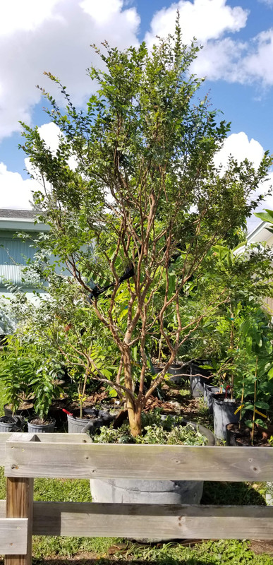 5BD7CFE6-CB98-44B4-B7F3-1C7DC78B4FDA