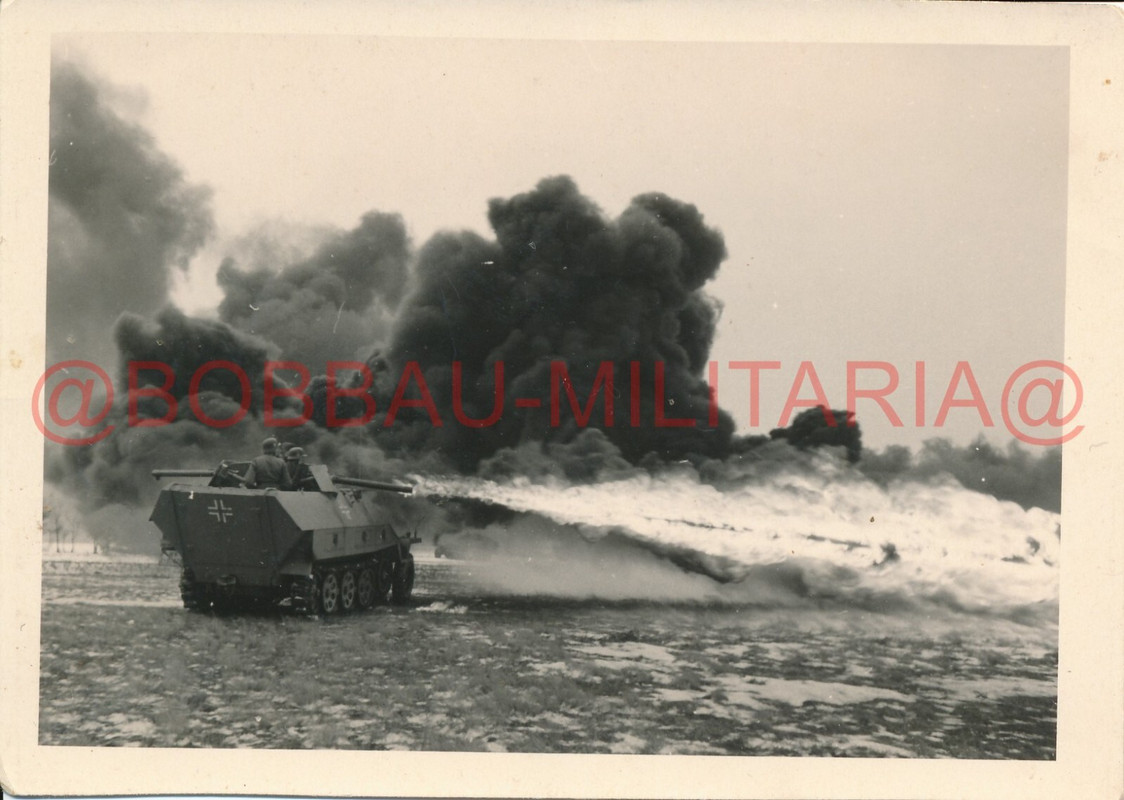 Foto SdKfz 251 Schützenpanzerwagen mit Flammwerfer 5.Panzer-Div. Wikinger