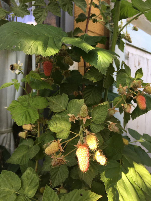 2A45A669-7D23-47B2-8C04-415A4D567BC9