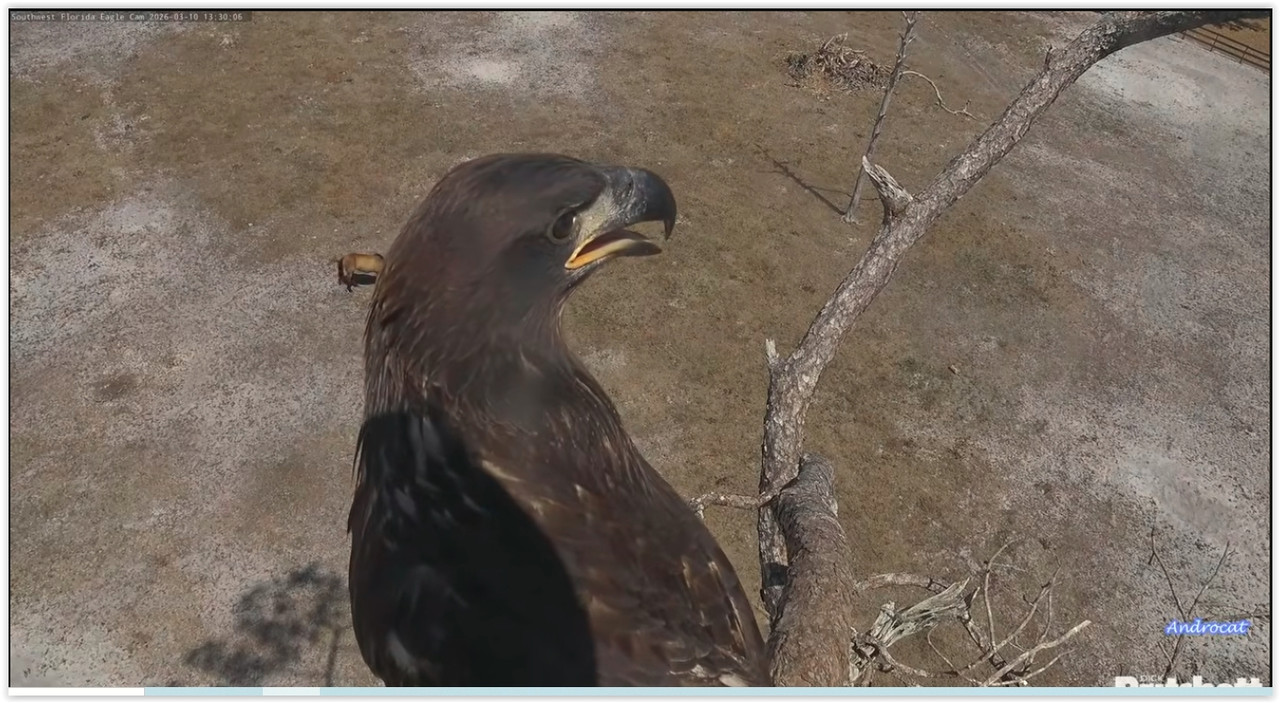 Screen Shot 03 13 26 at 08 46 AM