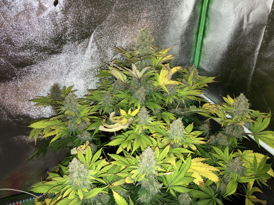 0793E1C8-13F3-41E4-9803-9A18E4CF1091