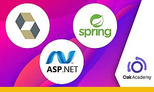 Spring Framework and Hibernate with ASP.NET MVC Course (2023-11)