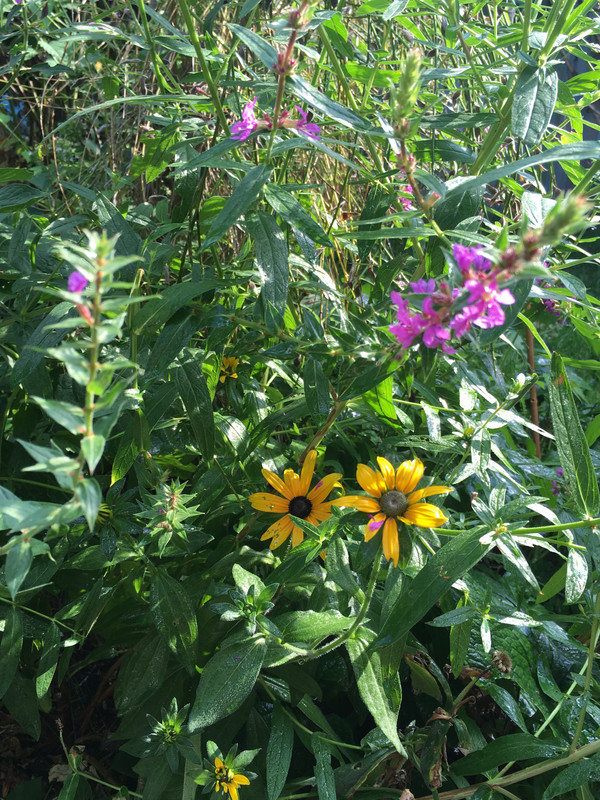 E4988AF7-8E88-47E6-BD80-33E686278C11