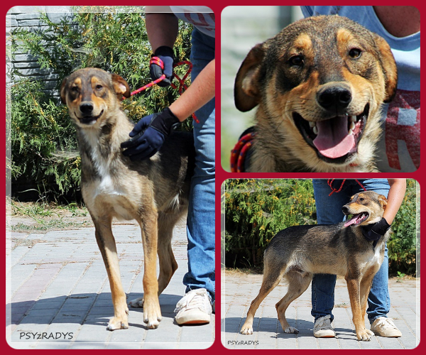 BeFunky-collage (15)