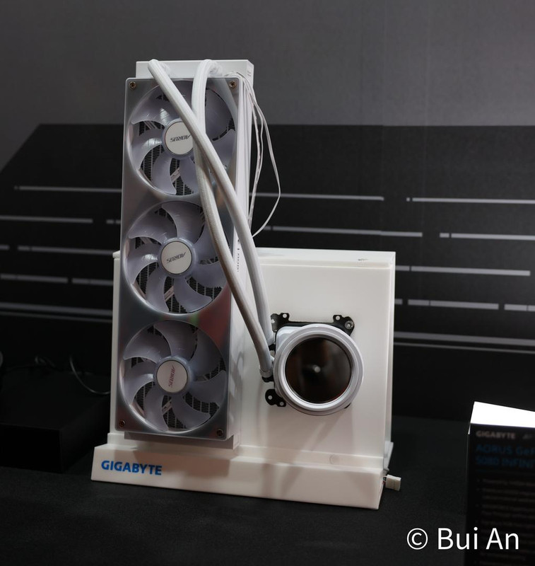 BAPH9060-(1).jpg