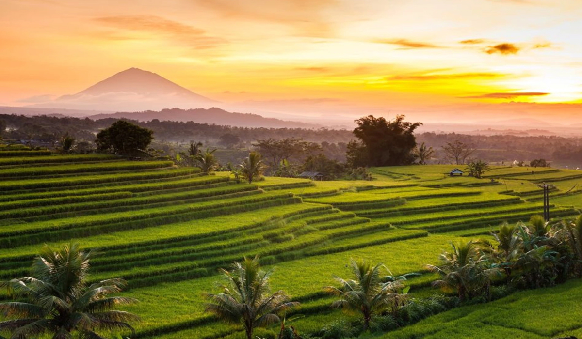 Destinasi Ekowisata Ramah Lingkungan