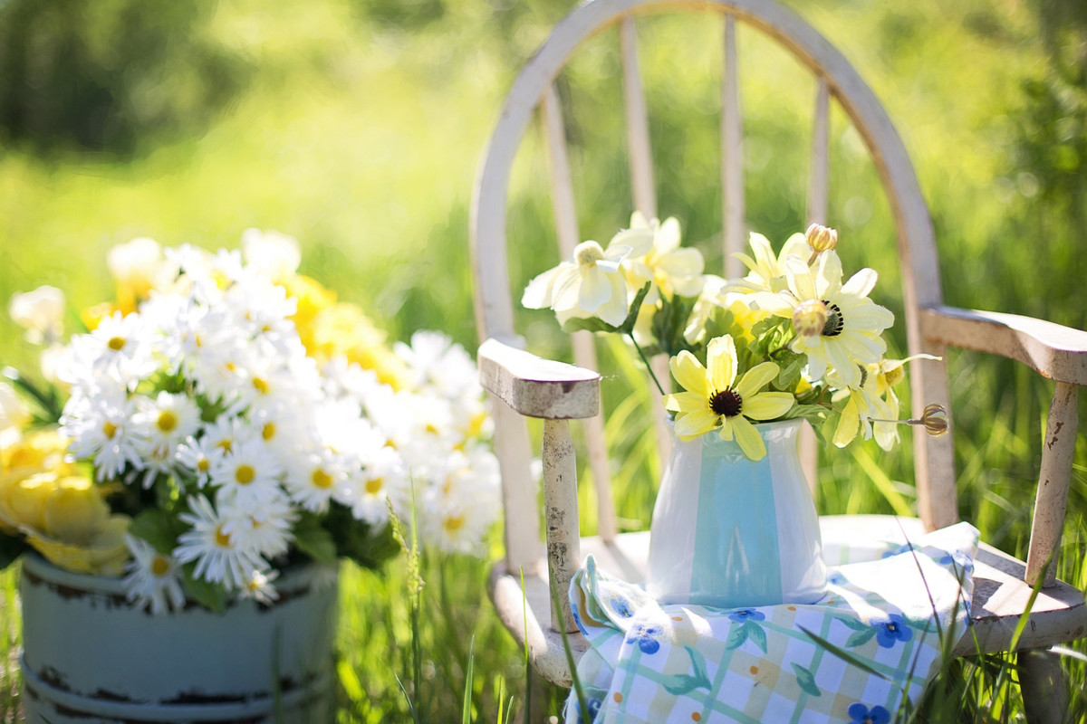 flowersinthechair.jpg