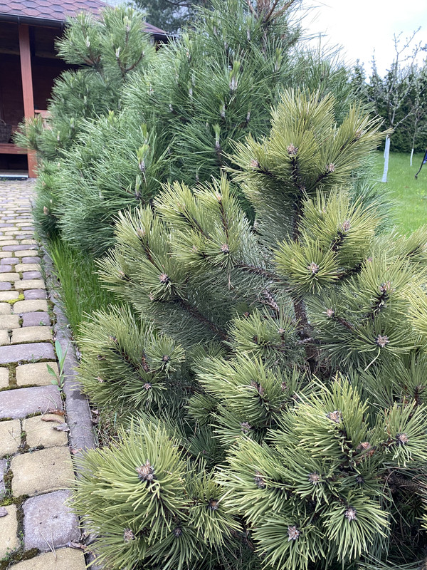 9F80D441-6A20-4F6E-BB44-8FABBC7DCF73