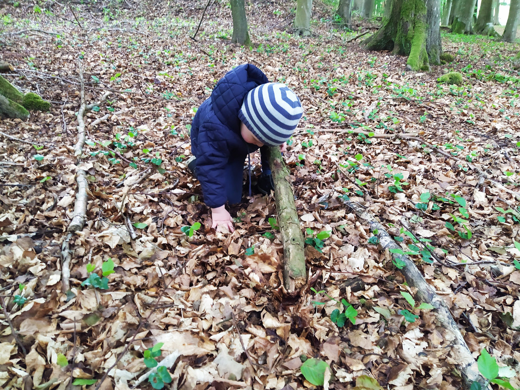 IMG-20201221-120551.jpg
