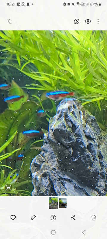 Screenshot_20250628_182111_Gallery