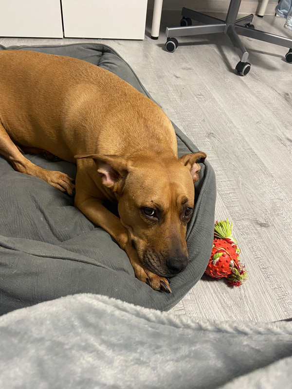 D5D08A1B-1794-41BE-88F9-0EB41369B1D8