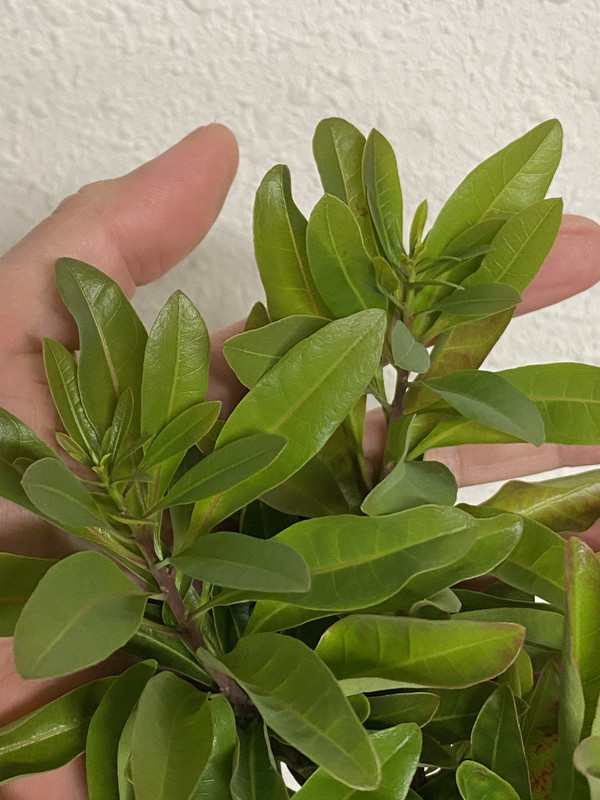 7C74E372-EF34-43CB-988B-7D67B128F3D5