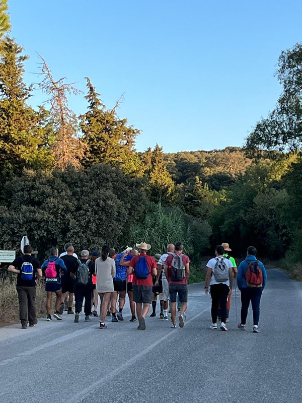 Dispositivo búsqueda 7