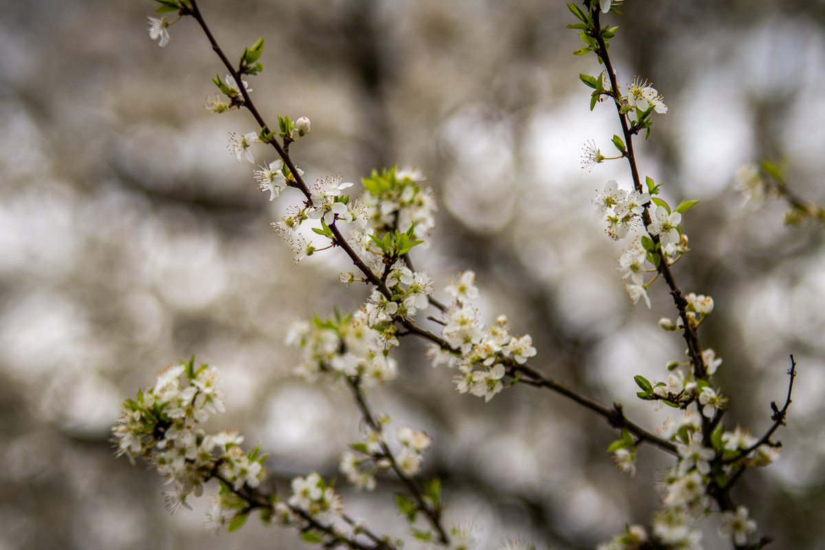 60075EF4-1693-4D35-A244-62819F3C0B1C