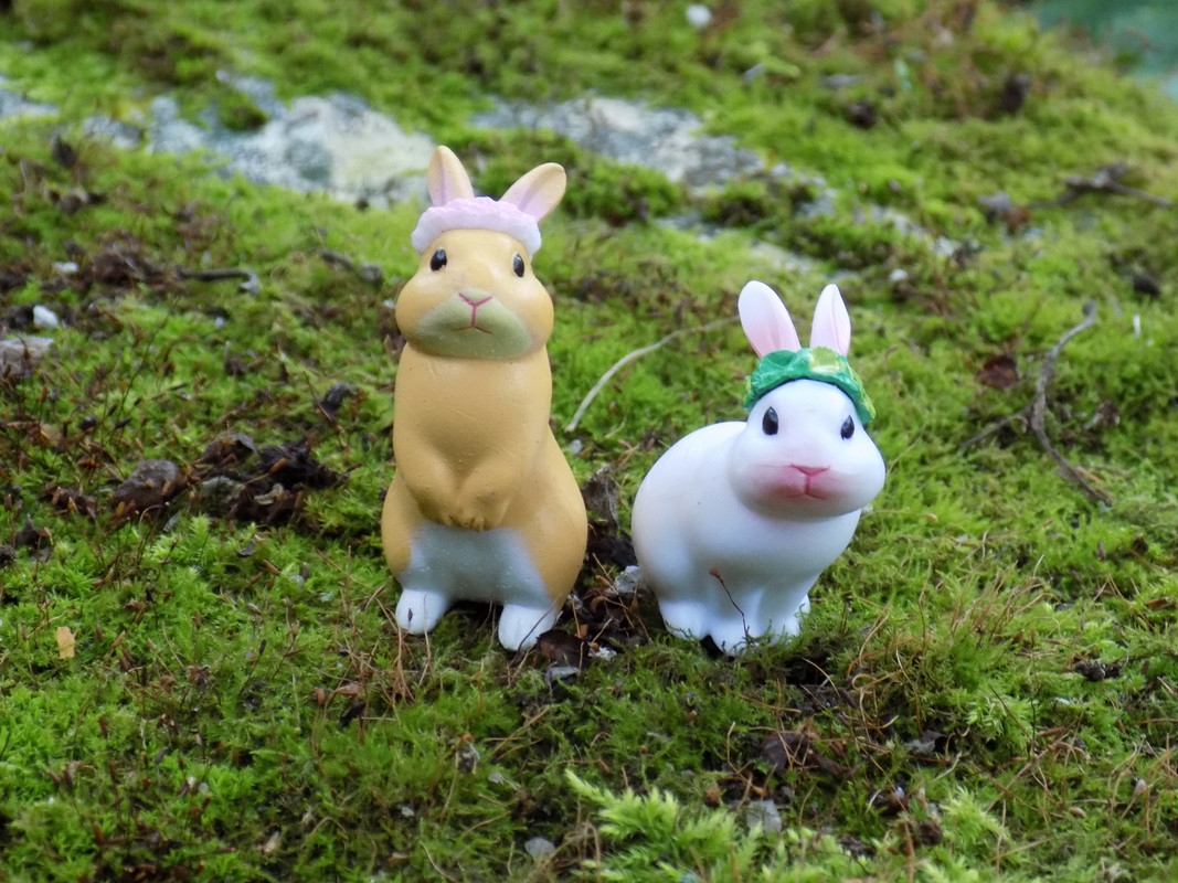 Дача самый конец сентября, столовый прибор 036