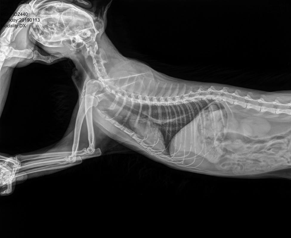 jdhJIBNUtz73o_DhxVPvOfX8x_rTNvLjx7NqFGh2my2kpJCIkWXkLLkuJ2eo_ZhDSmx9YSZeLvejNS6H5sKLYkXv