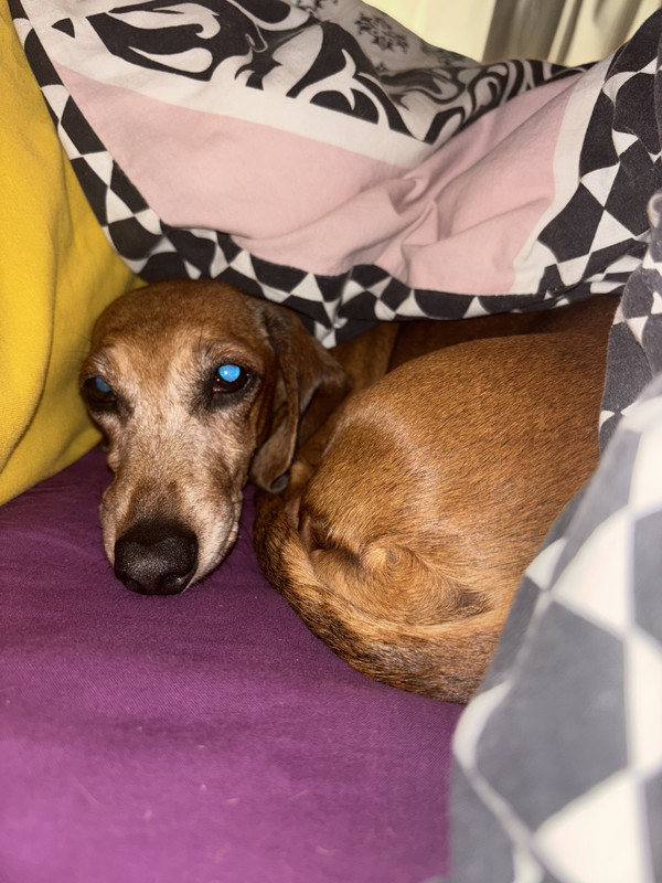 [Image: IMG-3761.jpg]