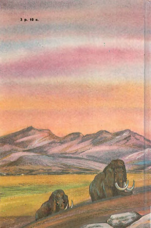2-p0032