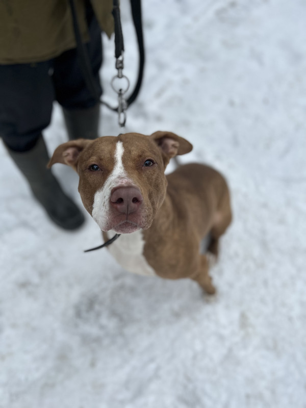 008EEADB-ED1D-42B4-A6ED-72DA9A930B0C