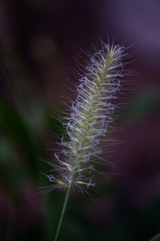 IMG-1295b450e87283533cdb96e83eaa059a-V