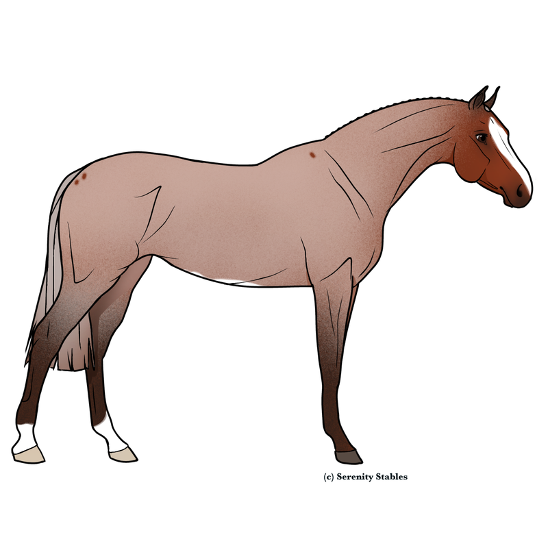 IMG-5536.png