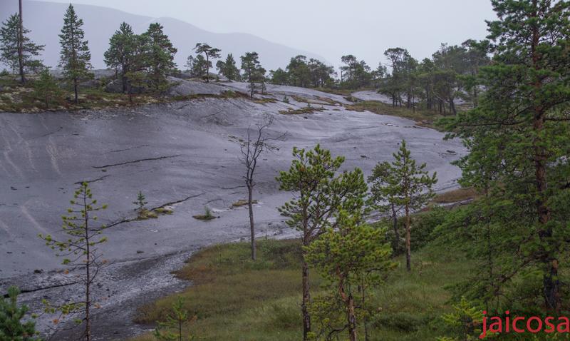 Décimo tercero,cuarto y décimo quinto día.Narvick-Trondheim.Barcelona - Minidiario de Bitácora VII .Expedición al Círculo Polar Ártico. Julio 2018 (3)