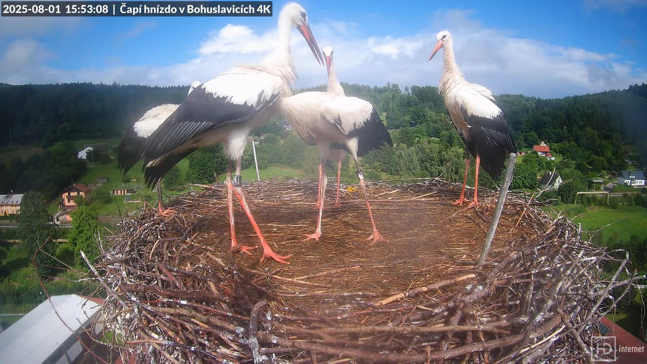 Tiešraide no KARA uzņēmuma stārķu skursteņa Bohuslavicē netālu no Trutnovas 14-10-13 screenshot