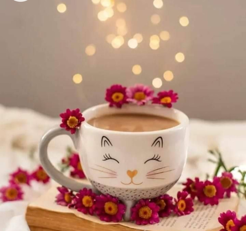 Screenshot_20221213-210656_Chrome