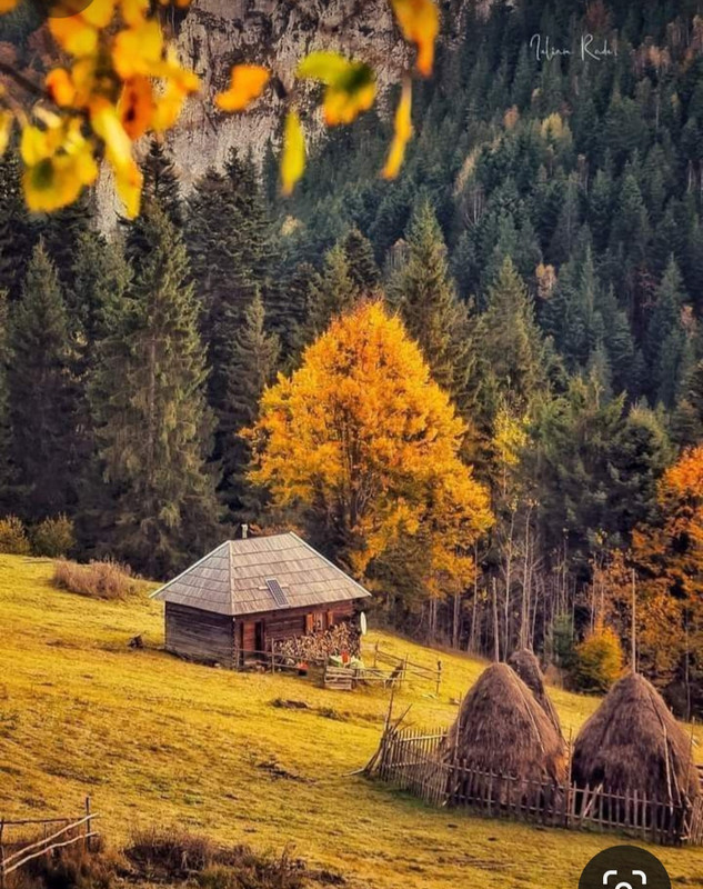 Screenshot_20231113_231233_Pinterest