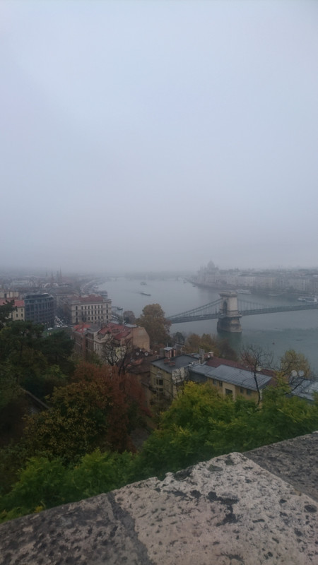 Photo 2019 11 05 08 32 05