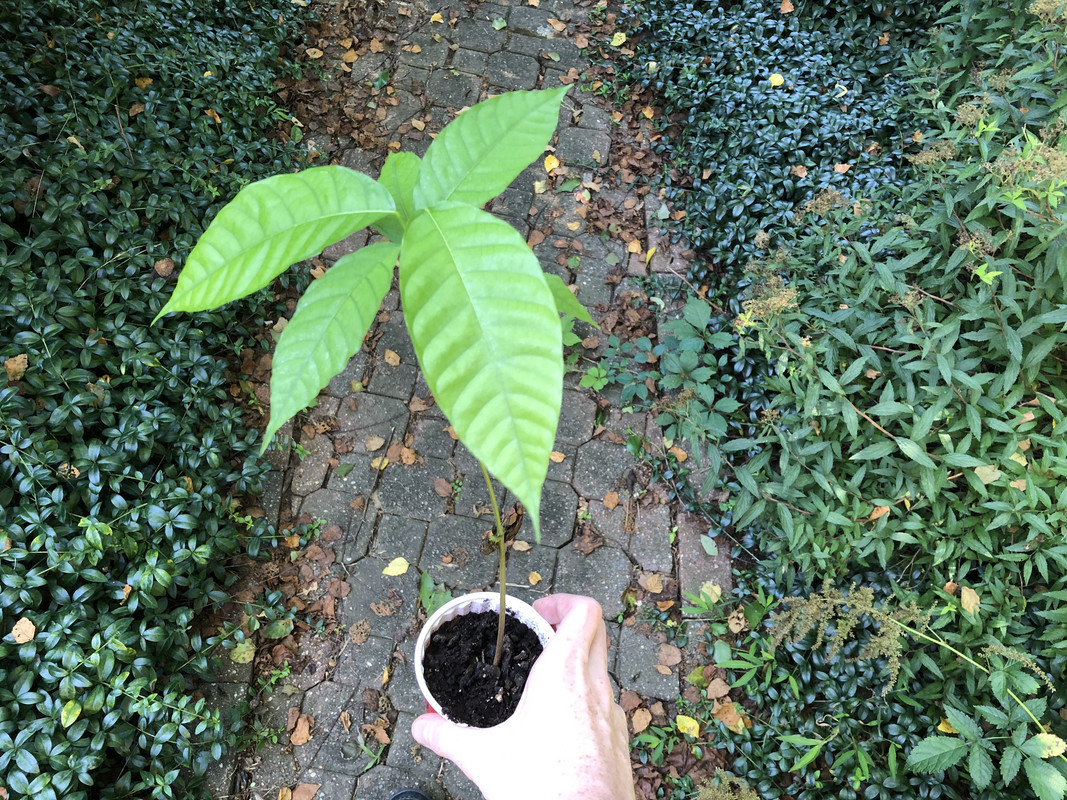 0299FD66-E557-495C-ABD1-7038A2645376