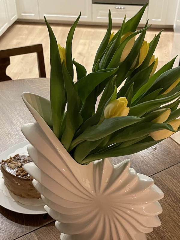 637762353-4151343271675649-3251017024587024485-n