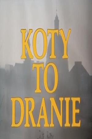 Koty to dranie (obrazek)