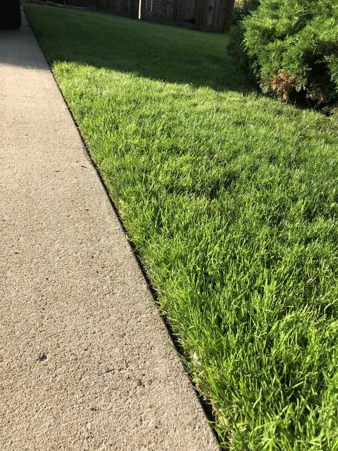 My Harbor Scotts Gas Edger The Lawn Forum