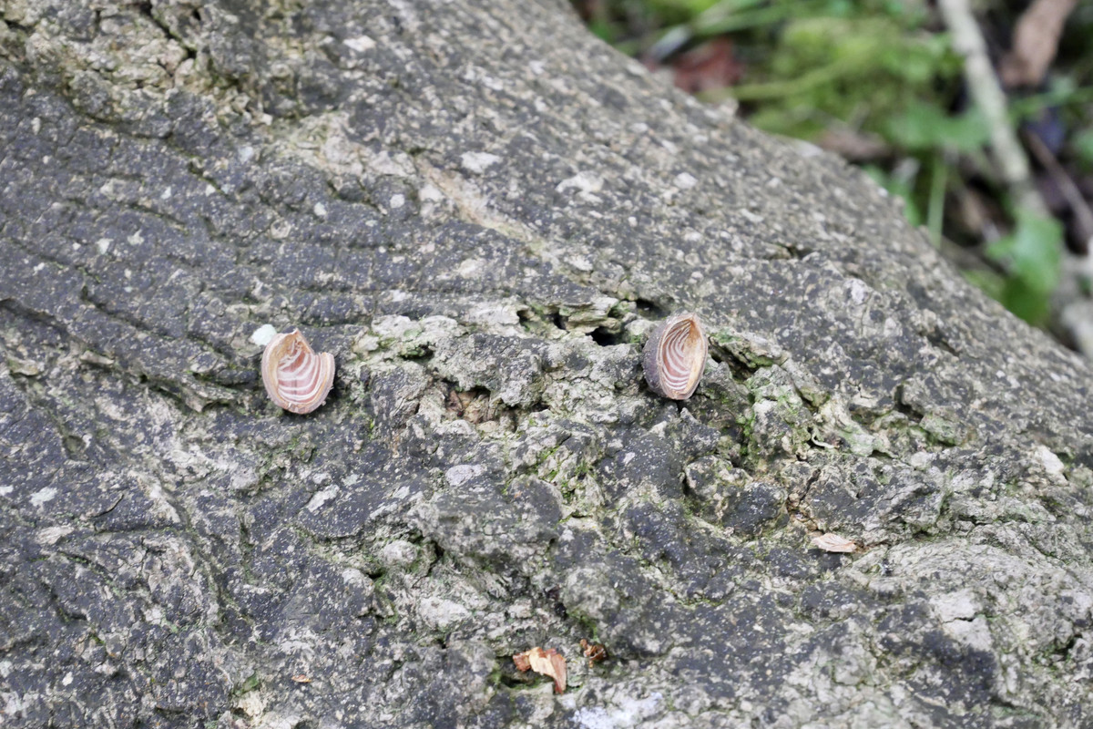 60589947-F5D6-43E2-8ABF-15CDDC603F53