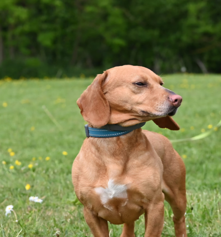 [Image: IMG-20250501-WA0047.jpg]