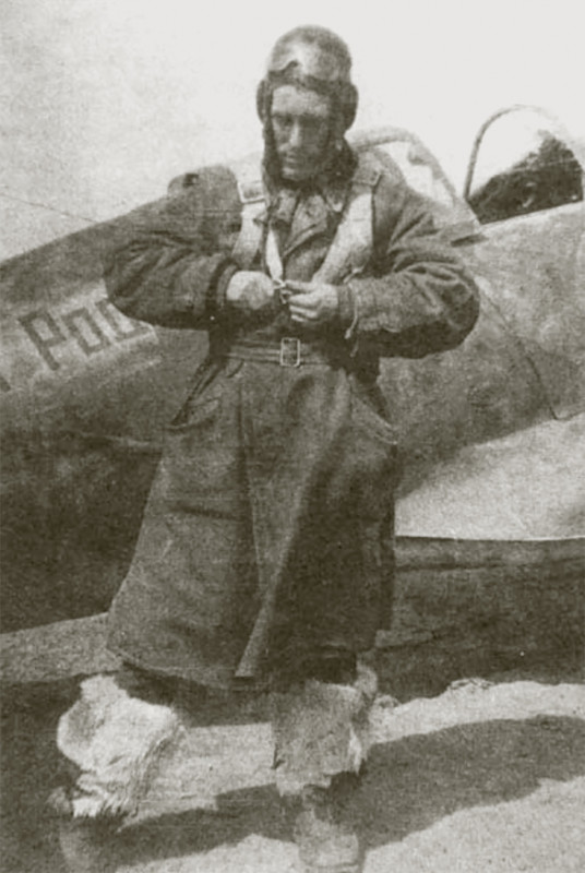Mikoyan-Gurevich-MiG-3-148IAP-1Sqn-Motherland-Cmdr-Capt-M-Nekrasov-battle-for-Kharkov-1942-01