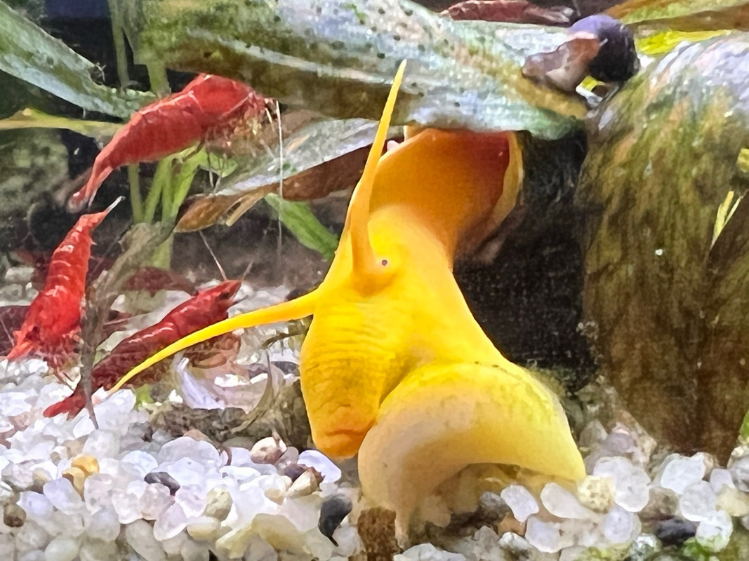 EF36BC4D-FD95-438F-AC71-FDABE6AF74AE