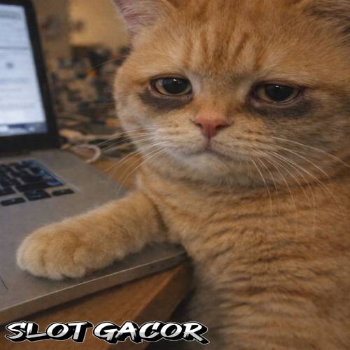 SITUS DEPOBOS
