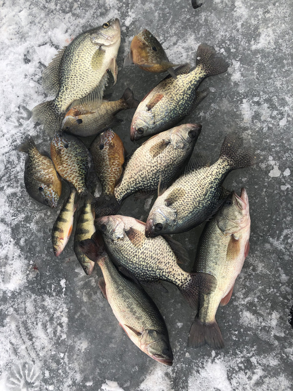 B2533BC8-BCE8-4243-A08F-4E2456ECD3D6