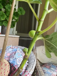 IMG_20230704_154927755